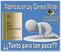 Modificación de la Ley de la carrera militar: ¿tanto para tan poco?