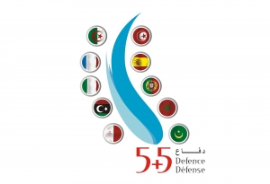 Reunión de ministros de Defensa de la Iniciativa 5+5