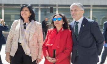LA PARADOJA DE LA PROFESIÓN MILITAR II